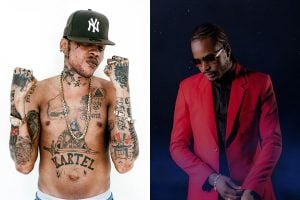 kartel-vs-govie