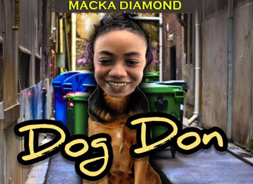 Macka-Diamond-Dog-Don-1