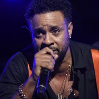 shaggy