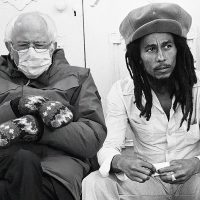 bernie-bob