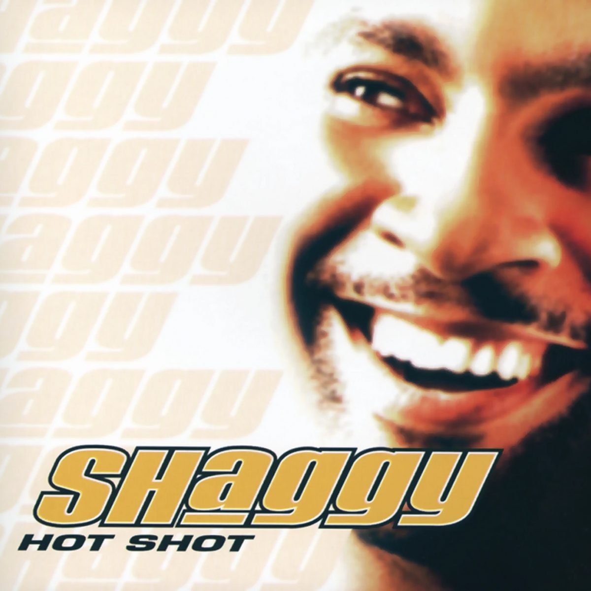 shaggy hot shot