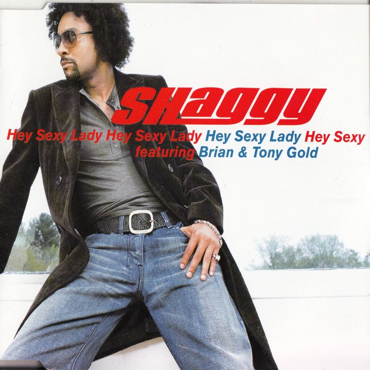 Shaggy - Hey Sexy Lady