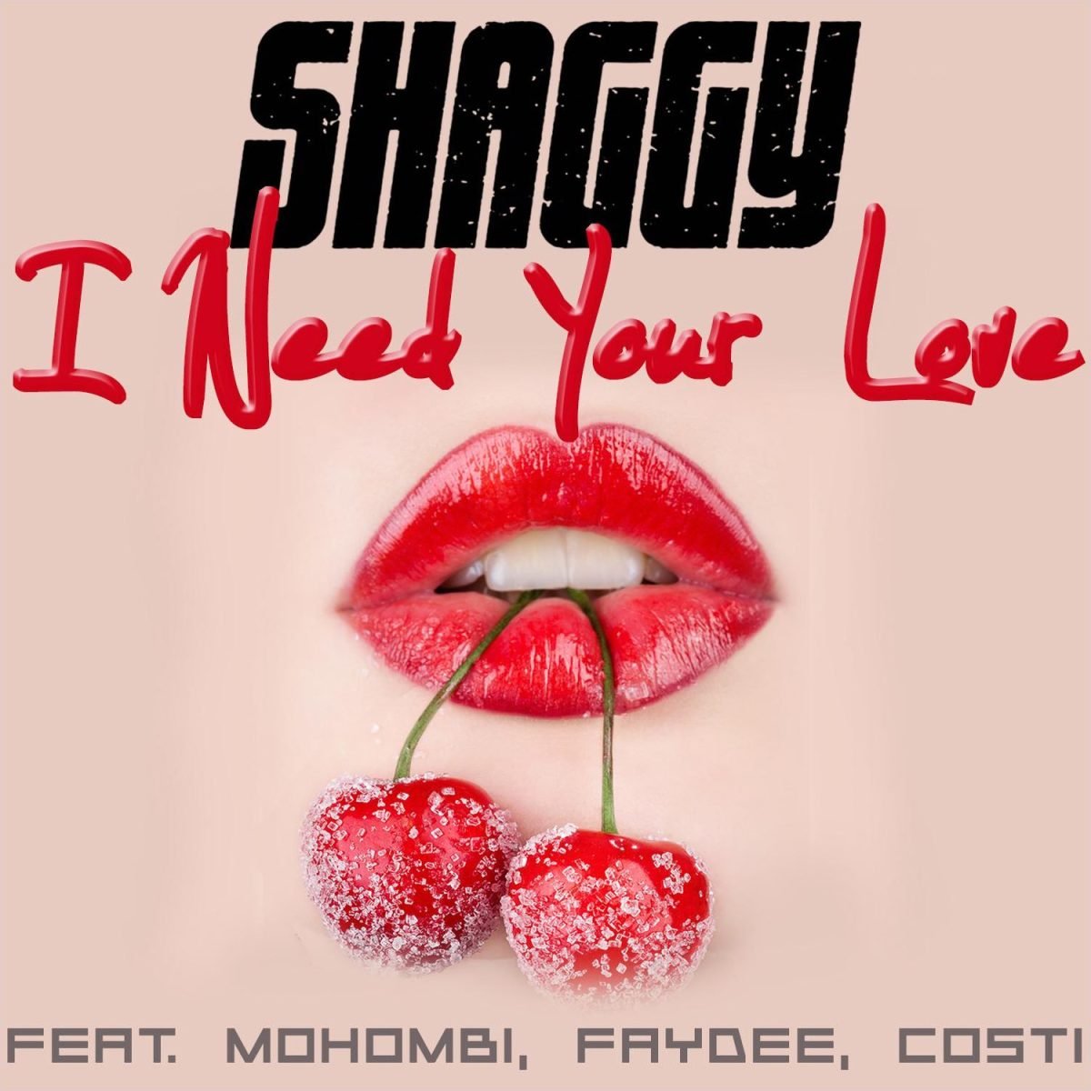 Shaggy - I Need Your Love