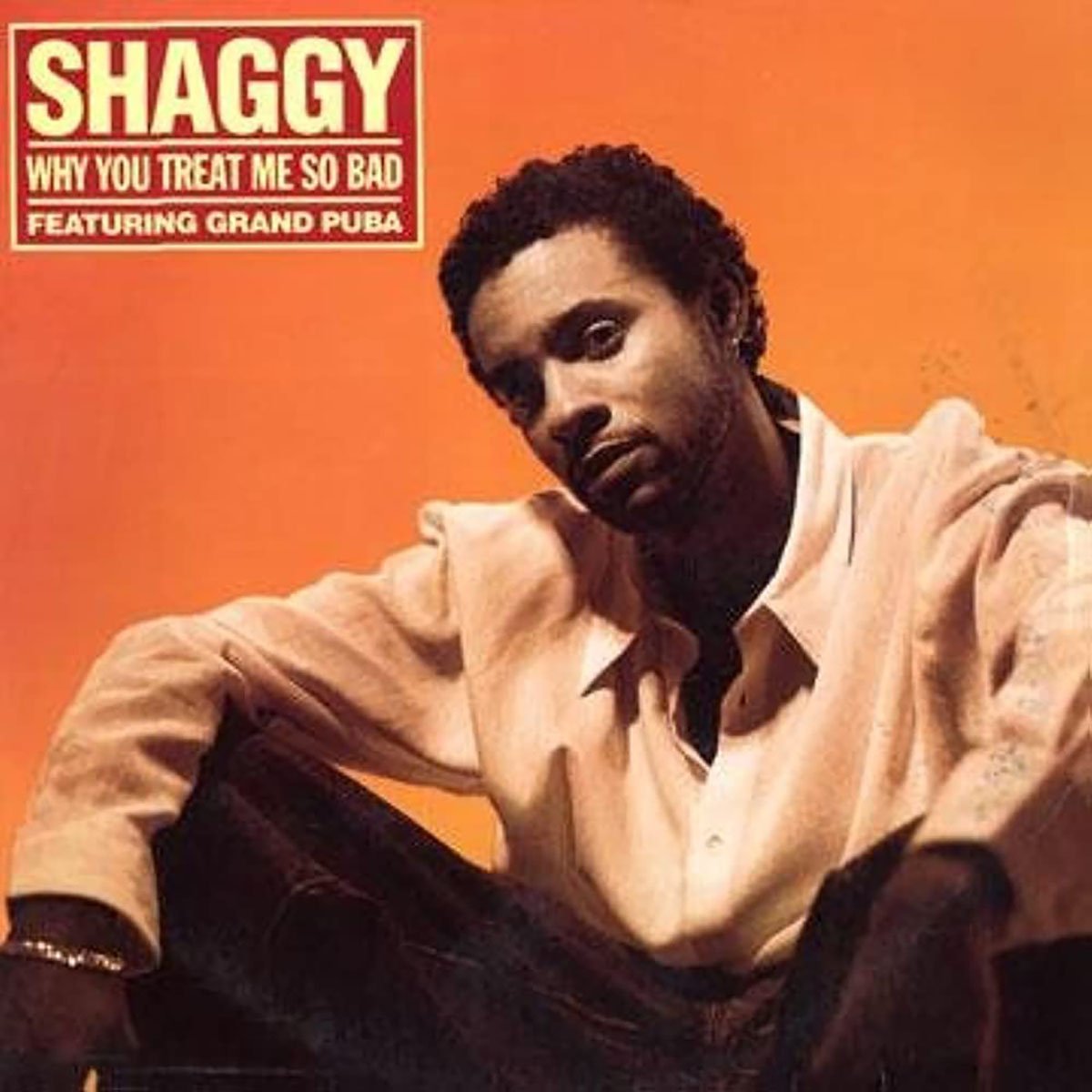 Shaggy - Why You Treat Me So Bad 