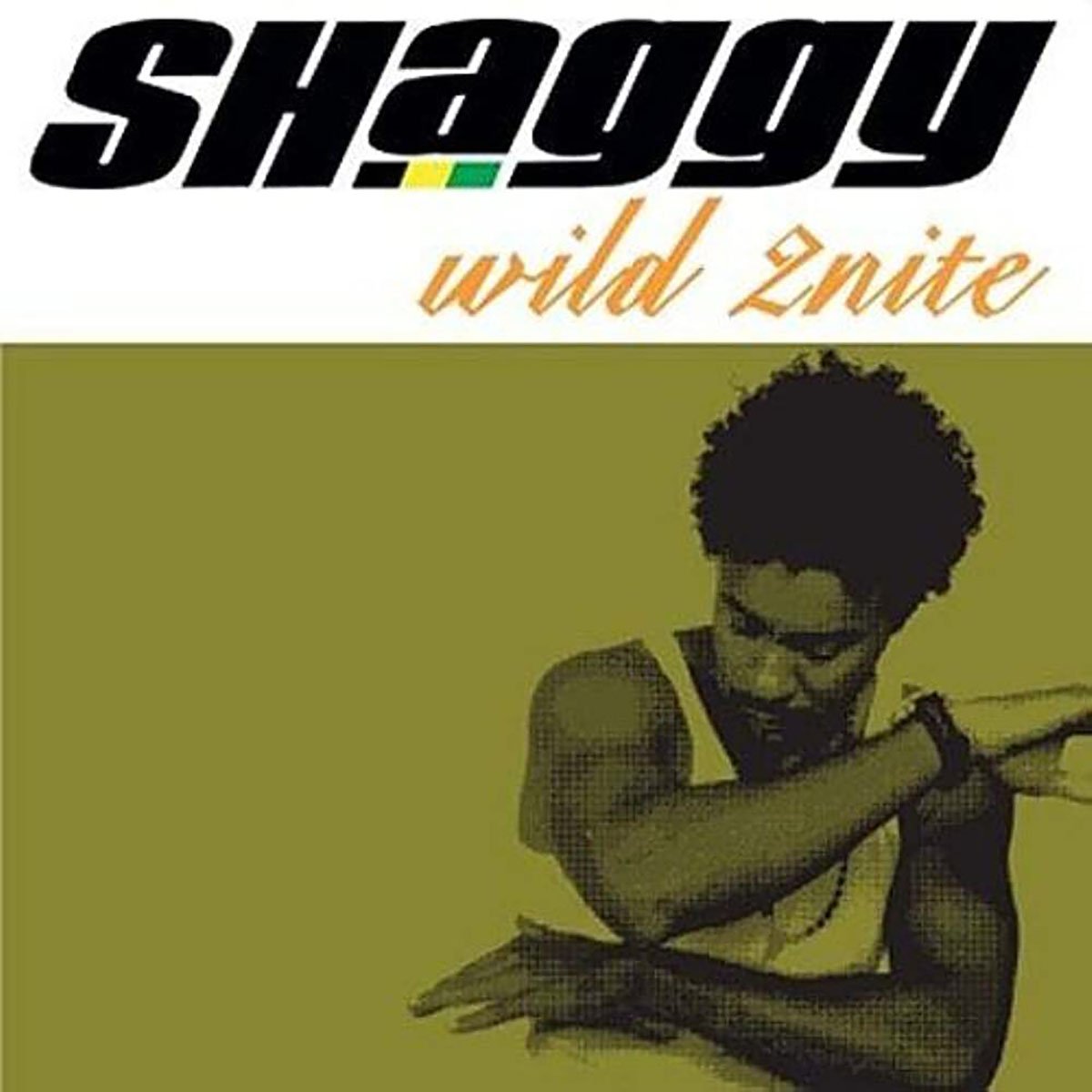 Shaggy - Wild2nite