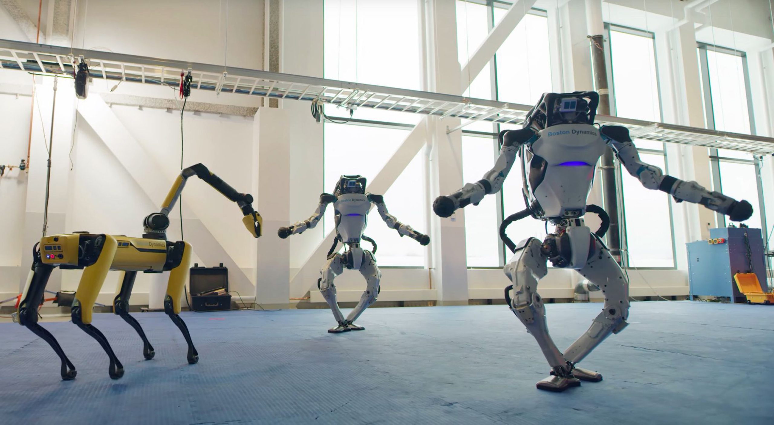 bdrobots
