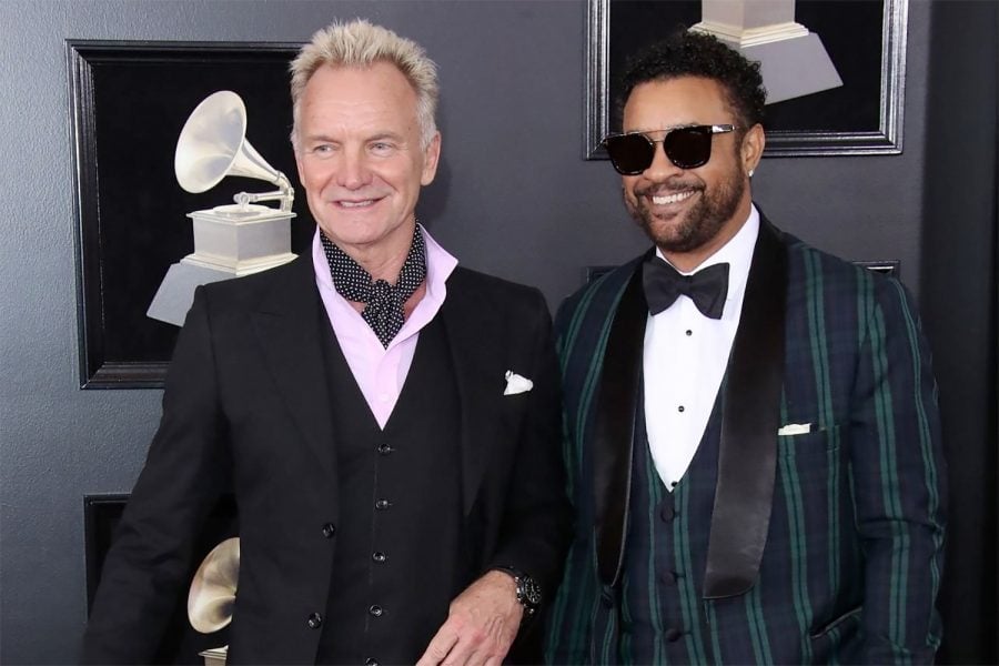 sting shaggy sting shaggy