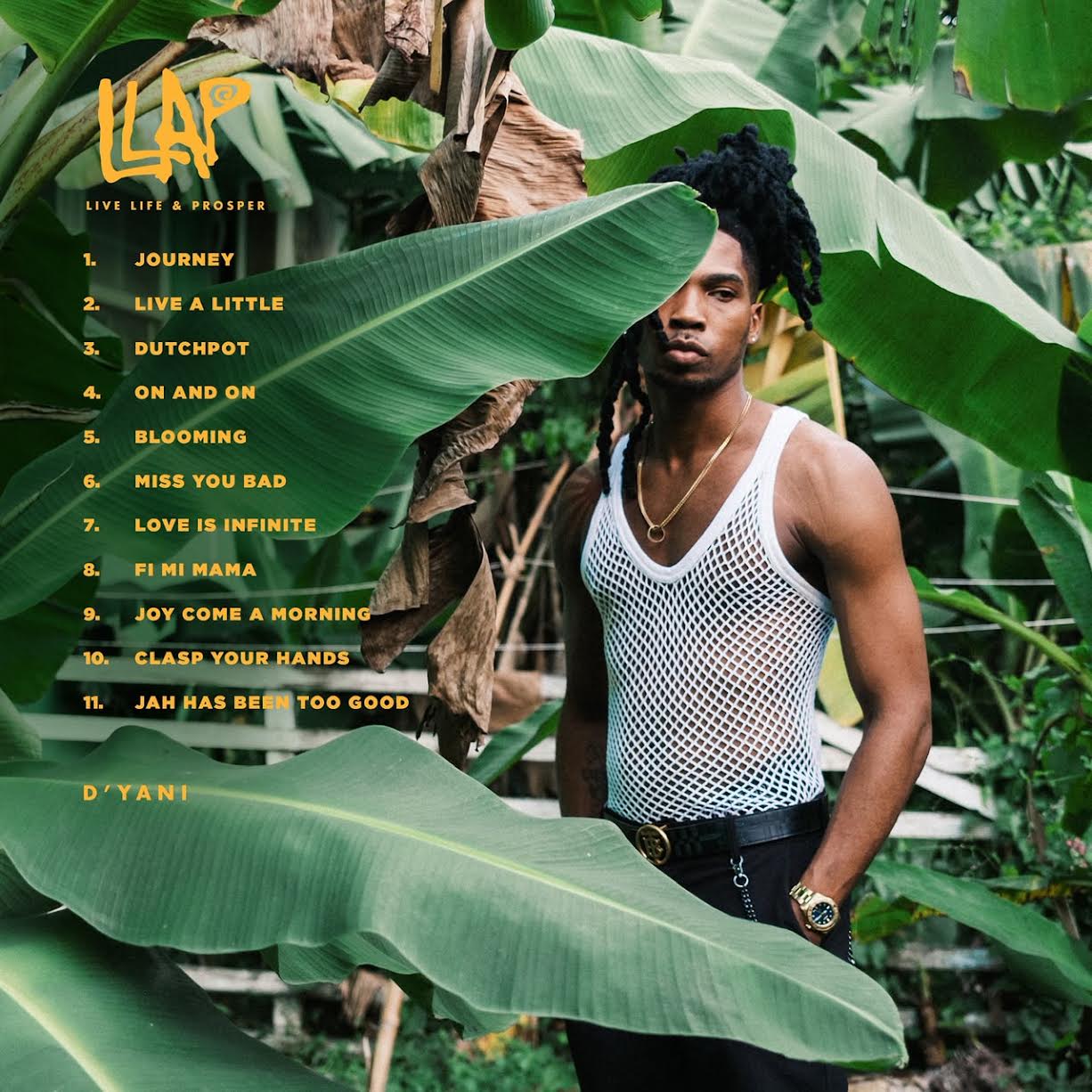 D’Yani Turns Life’s Lessons Into ‘LLAP’ – Reggae-dancehall singer launches deeply personal album with a stirring message of hope, gratitude and prosperity